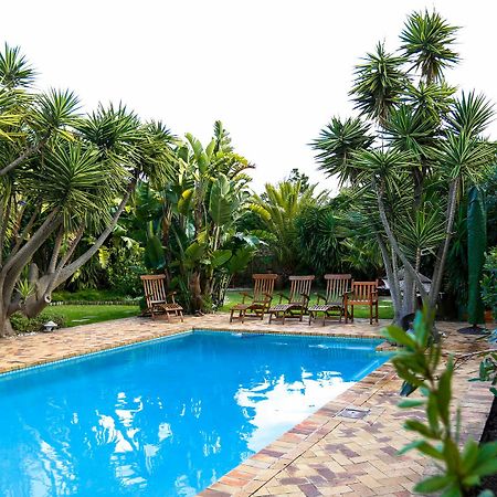 Secret Garden Guesthouse Блаубергстранд Экстерьер фото