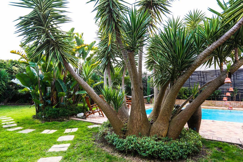 Secret Garden Guesthouse Блаубергстранд Экстерьер фото